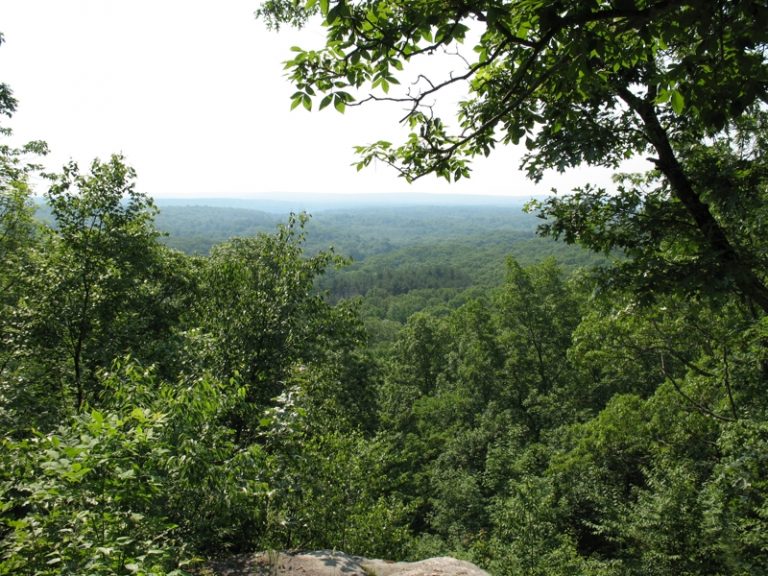 View south from Fifty-foot Cliff, Spring Hill Tract, UConn Forest, Mansfield CT. 