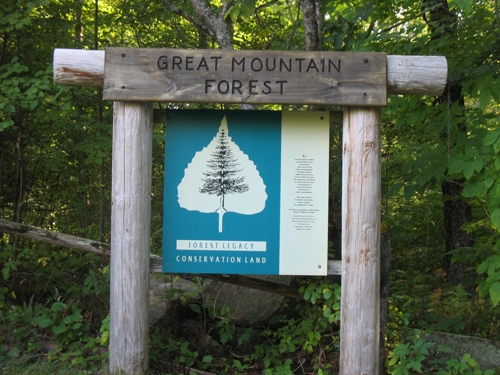 Great Mountain Forest sign