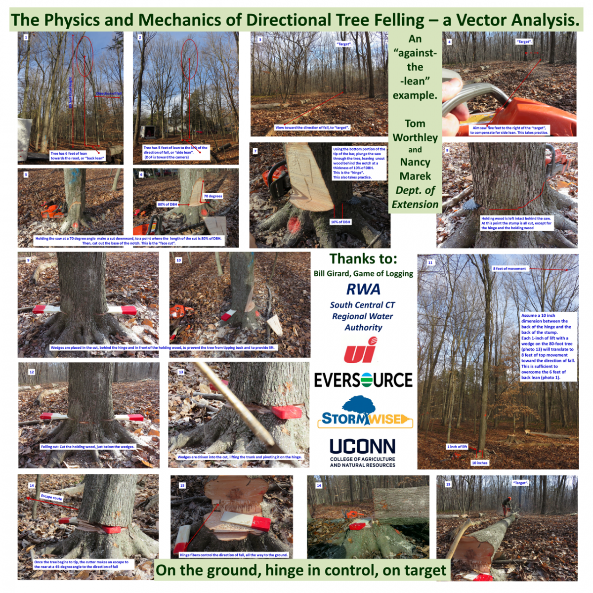 Infographic directional felling techniques.