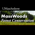 forest service logo