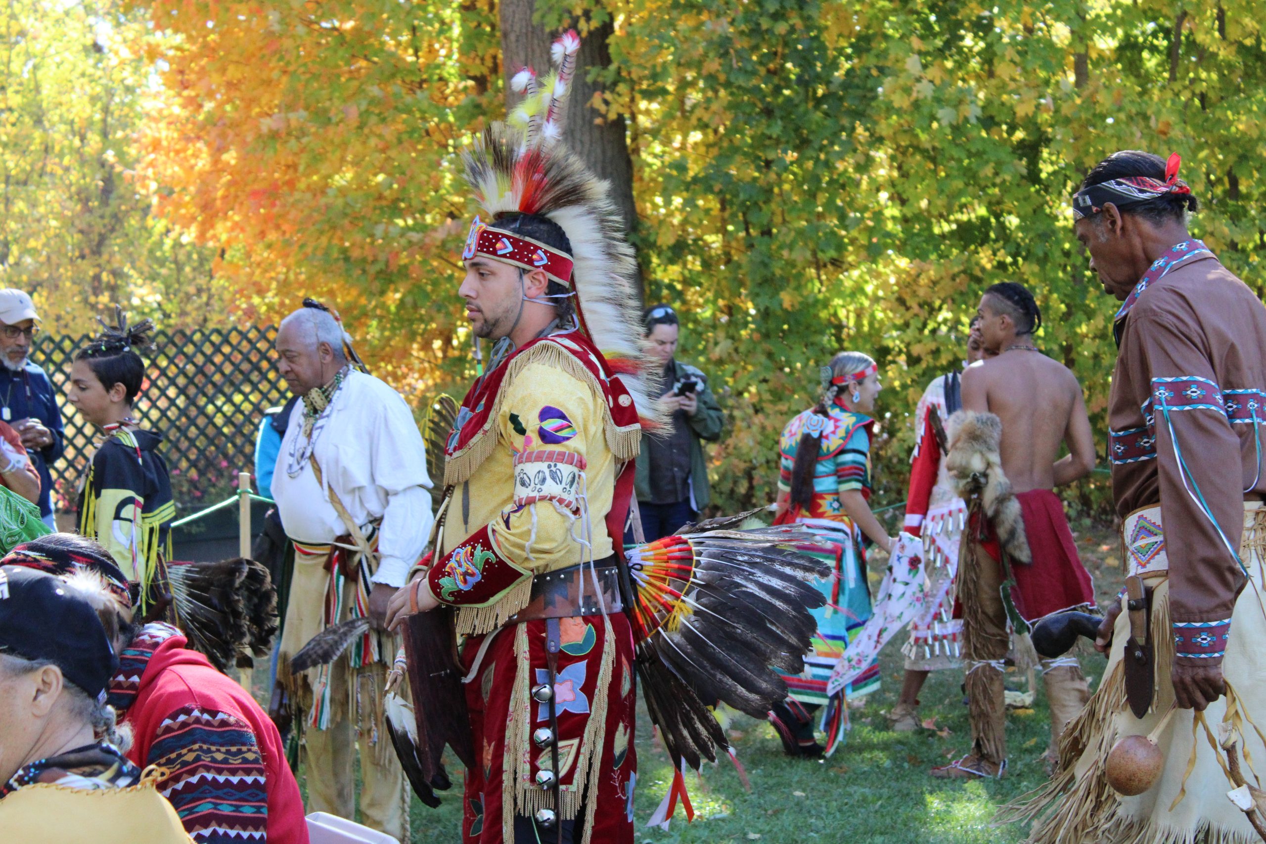 Pow Wow in the forest.