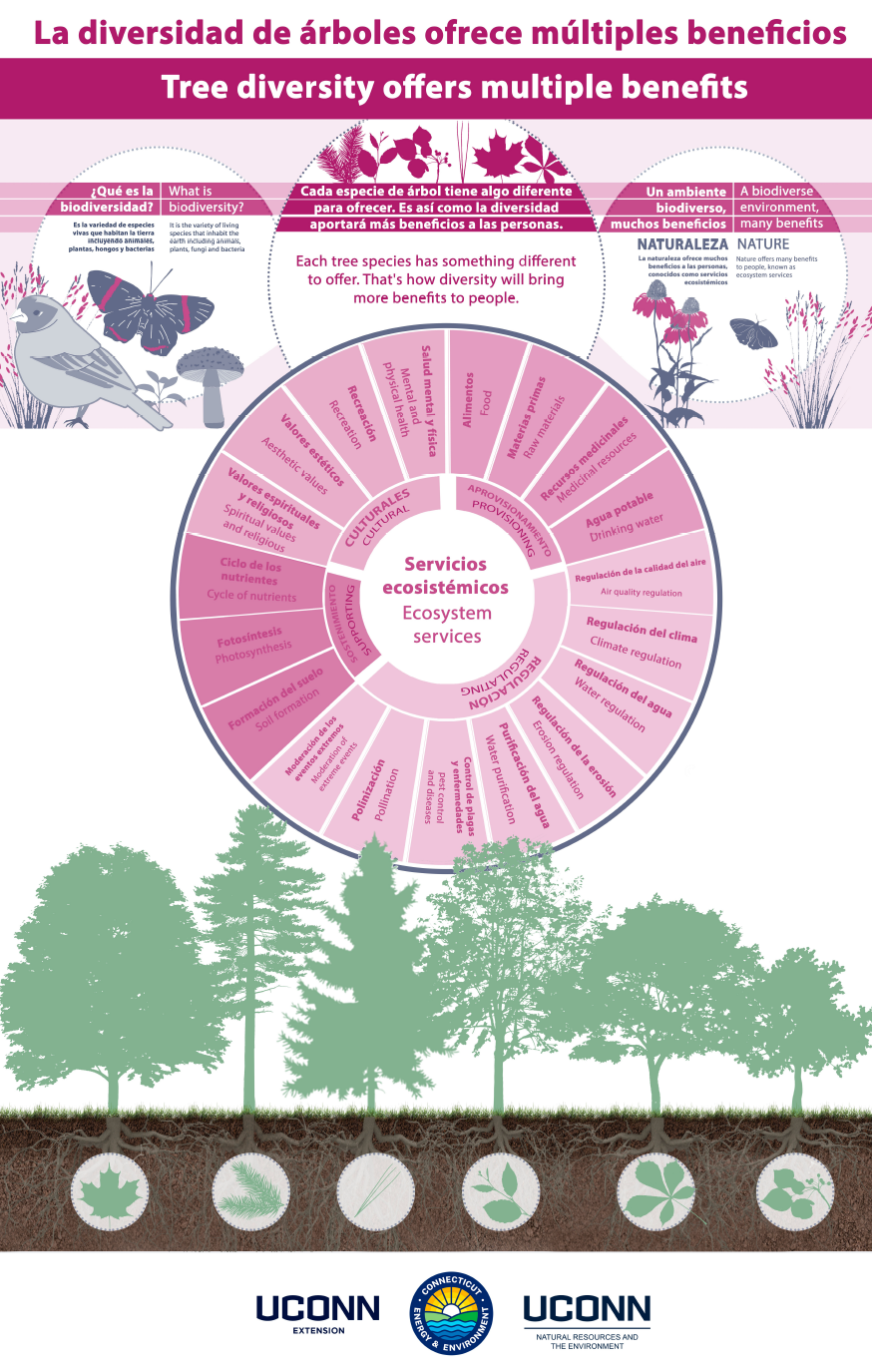 "Trees support biodiversity" bilingual poster.