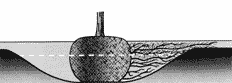 This image depicts a tree planted in a saucer shaped hole, with an illustrative line indicating how the depth of the hole isn't meant to be deeper than the height of the root ball. Image from the International Society of Arboriculture.